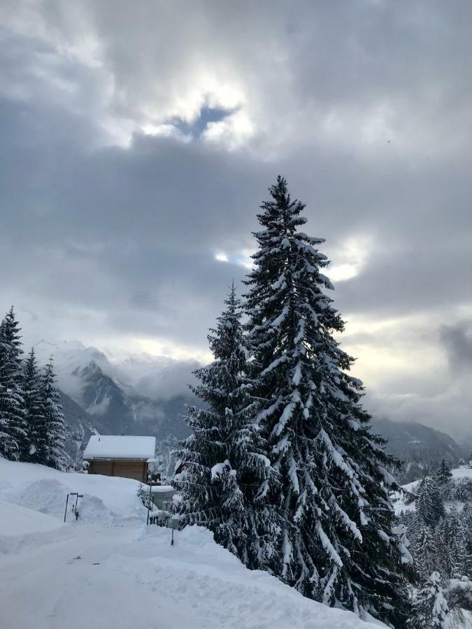 Tgesa Ferrera Villa Schmitten  Luaran gambar
